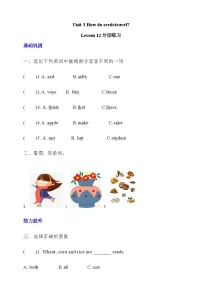 北京版（2024）五年级下册Unit 3 How do seeds travel? Lesson 12优秀练习