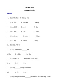 小学英语北京版（2024）五年级下册Unit 4 Revision Lesson 14精品练习题