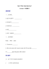 小学英语北京版（2024）五年级下册Unit 5 Who’s that baby boy? Lesson 17精品综合训练题