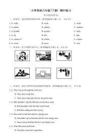 江苏省南京市江宁区2023-2024学年六年级下册期中练习英语试卷