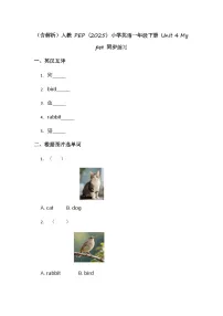 小学英语人教版PEP（2024）一年级下册（2024）Unit 4 My pet优秀课后复习题