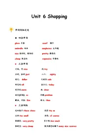 人教版四年级下册知识点整理 Unit 6 Shopping 知识点整理