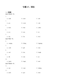 专题17：词法—2025年通用版小升初英语复习语法试题（含答案解析）