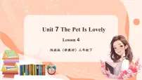 陕旅版（2024）三年级下册（2024）Unit 7 The Pet Is Lovely一等奖课件ppt