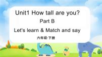 人教版PEP（2024）六年级下册Unit 1 How tall are you? Part B备课课件ppt
