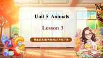小学英语人教精通版（2024）三年级下册（2024）Unit 5 Animals Lesson 3教学ppt课件