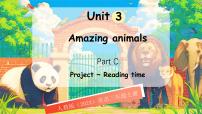 英语三年级上册（2024）Unit 3 Amazing animals Part C示范课课件ppt