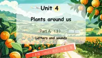 人教版PEP（2024）三年级上册（2024）Unit 4 Plants around us Part A教案配套ppt课件