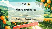 人教版PEP（2024）三年级上册（2024）Unit 4 Plants around us Part C教学演示ppt课件