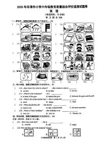 浙江省温州市乐青市2024-2025学年六年级下英语期末试卷