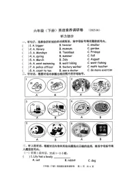 浙江省嘉兴市平湖市2024-2025学年六年级下学期6月期末英语试题