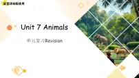 小学英语译林版（三起）（2024）三年级下册（2024）Unit 7 Animals复习ppt课件