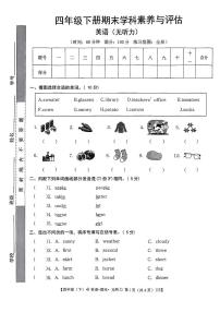 安徽省亳州市谯城区2024-2025学年四年级下英语期末试卷