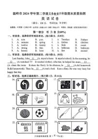 浙江省台州市温岭市2024-2025学年第二学期六年级英语期末试卷（无答案）
