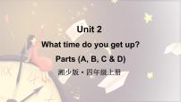 英语湘少版（2024）Unit 2 What time do you get up?课堂教学课件ppt