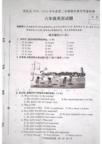 河北省石家庄市高邑县2024-2025学年第二学期六年级英语期末试卷（含答案）