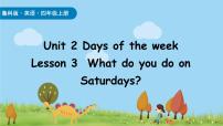 鲁科版 (五四制)2024四年级上册（2024）Lesson3 What do you do on Saturdays?教课内容课件ppt