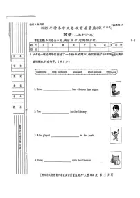 陕西省榆林市神木县2024-2025学年六年级下英语期末试卷