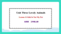 英语北京版（2024）Unit Three Lovely AnimalsLesson 11 Kiki Is Not My Pet教学演示课件ppt