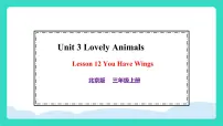 小学英语北京版（2024）三年级上册（2024）Lesson 12 You Have Wings课文课件ppt