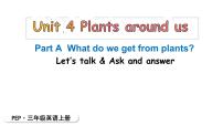 英语三年级上册（2024）Unit 4 Plants around us Part A图文ppt课件