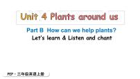 人教版PEP（2024）三年级上册（2024）Unit 4 Plants around us Part B教课内容ppt课件