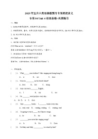 专项04 Unit 4 语法易错+巩固练习-2025年五升六英语暑假预习专项培优练习（含答案）（人教PEP版）