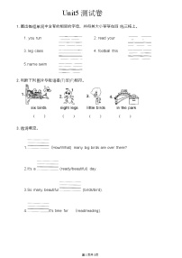 辽师大版（三起）（2024）三年级上册（2024）Unit 5 A happy day精品单元测试同步测试题