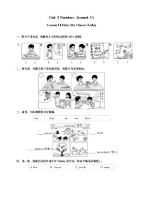 小学英语北京版（2024）三年级上册（2024）Unit Two Numbers Around UsLesson 5 I Have Six Classes Today精品课时作业