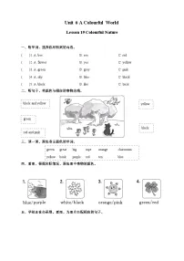 英语Unit Six A Colourful WorldLesson 19 Colourful Nature精品巩固练习