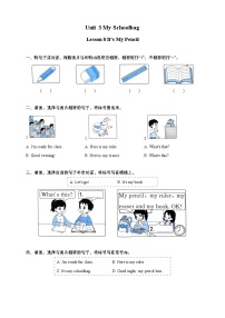 小学英语Lesson 8 It's My Pencil优秀课堂检测