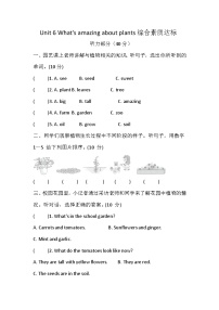 沪教牛津版(六三制一起)(2024)四年级上册（2024）Unit 6 What's amazing about plants?优秀精练