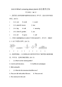 沪教牛津版(六三制一起)(2024)四年级上册（2024）Unit 6 What's amazing about plants?优秀精练