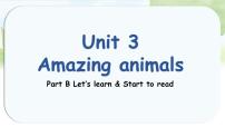 小学英语人教版PEP（2024）三年级上册（2024）Unit 3 Amazing animals Part B教案配套课件ppt
