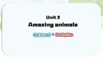 人教版PEP（2024）三年级上册（2024）Unit 3 Amazing animals Part C教案配套课件ppt