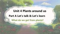 人教版PEP（2024）三年级上册（2024）Unit 4 Plants around us Part A课文内容课件ppt
