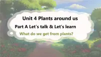 人教版PEP（2024）三年级上册（2024）Unit 4 Plants around us Part A课文内容课件ppt