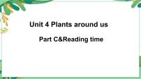 人教版PEP（2024）三年级上册（2024）Unit 4 Plants around us Part C评课课件ppt