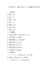 英语三年级上册（2024）Unit 5 What color is it?同步练习题