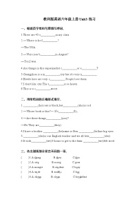 教科版六年级上册英语Unit3练习训练（含答案）