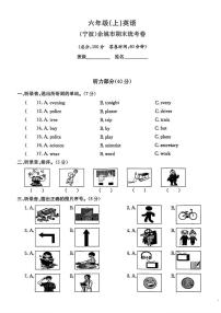 浙江省宁波市余姚市2024-2025学年六年级上学期期末英语试题及答案
