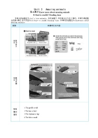 人教版PEP（2024）三年级上册（2024）Unit 3 Amazing animals Part B教案