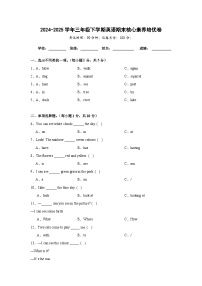 （期末培优卷）期末核心素养培优卷-三年级下学期英语沪教版（2024）（含答案解析）