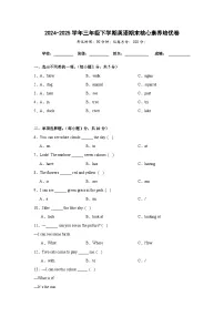 （期末培优卷）期末核心素养培优卷-三年级下学期英语沪教版（2024）（含答案解析）