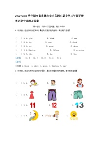 2022-2023学年湖南省常德市安乡县湘少版小学三年级下册英语期中试题及答案