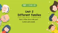 小学英语人教版PEP（2024）三年级上册（2024）Unit 2 Different families Part A精品第3课时同步练习题
