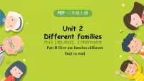 小学人教版PEP（2024）Unit 2 Different families Part B优秀同步达标检测题