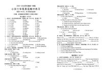 广东省茂名市茂南区2025-2026学年六年级上学期期中英语试题