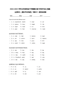 专题01 语音选择题-小学英语五下-期末复习专项牛津上海版（试用本）练习（含解析）