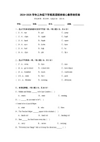 期末核心素养培优卷-教科版英语三下（含解析）